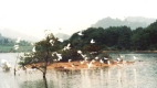 20120605102012503.jpg